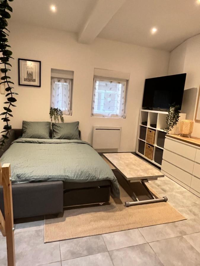 Le Remois Studio Cosy Hyper Centre رانس المظهر الخارجي الصورة